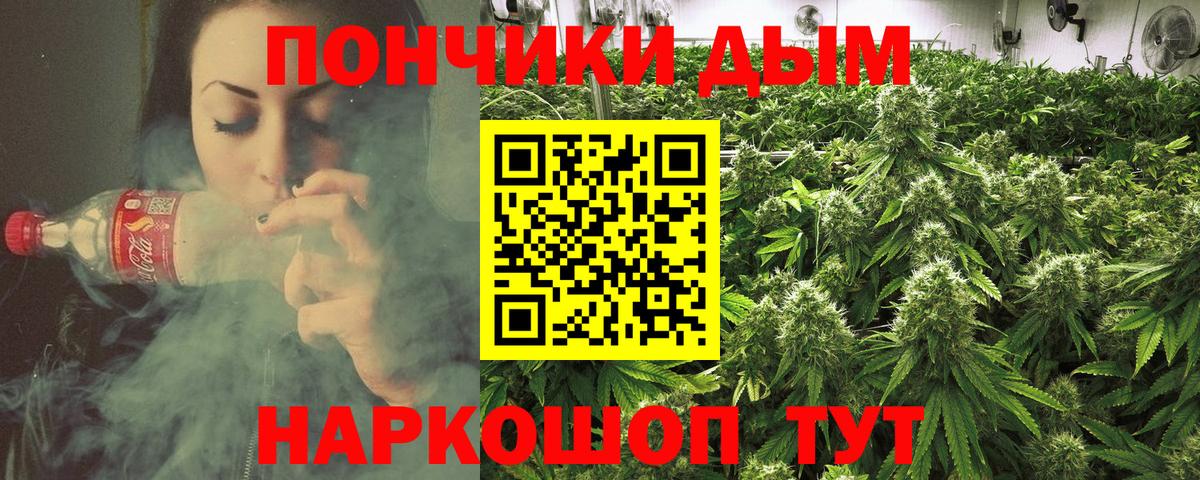 Шишки марихуана ГИДРОПОН Пугачёв